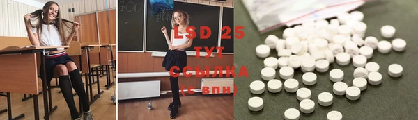 дмт Алзамай