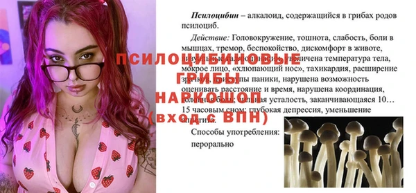 дмт Алзамай