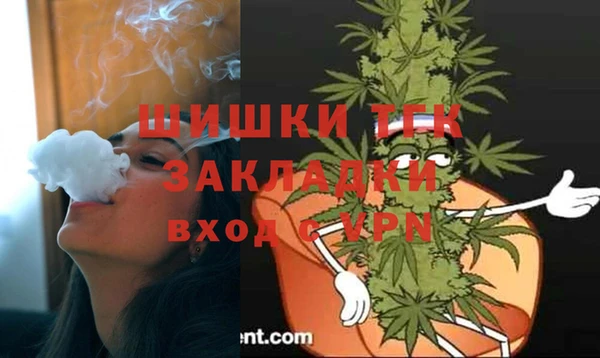 дмт Алзамай